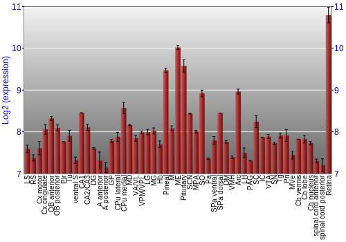 Expression graph