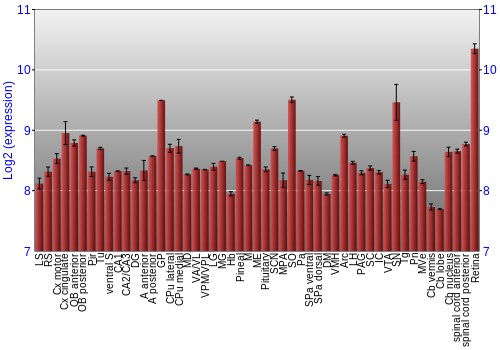 Expression graph