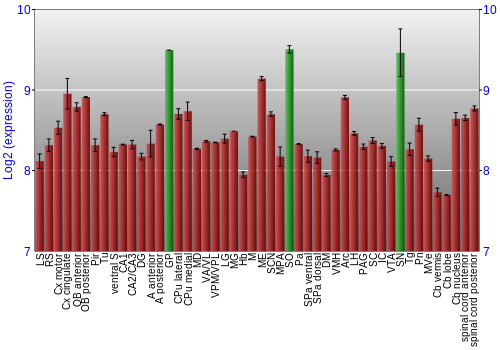 Multi-state expression graph