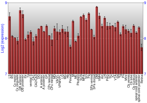 Expression graph
