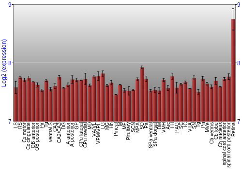 Expression graph