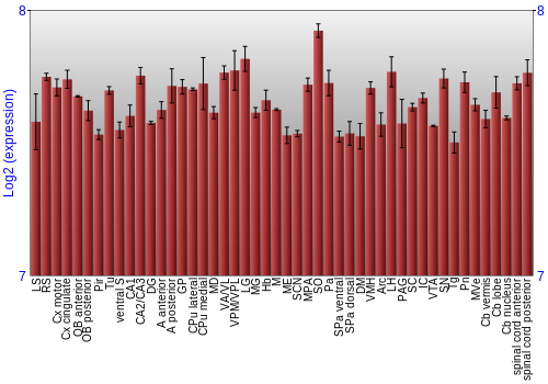 Multi-state expression graph