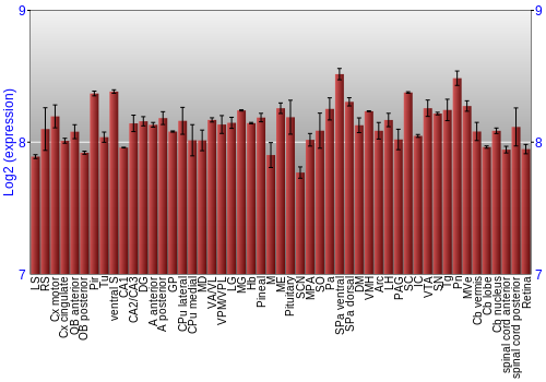 Expression graph