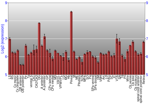 Expression graph