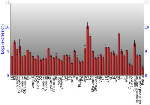 Expression graph