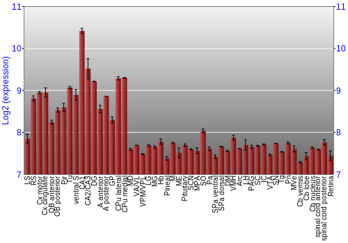 Expression graph