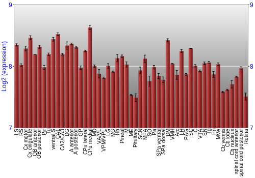 Expression graph