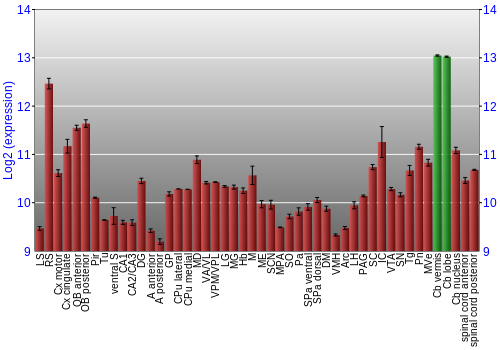 Multi-state expression graph