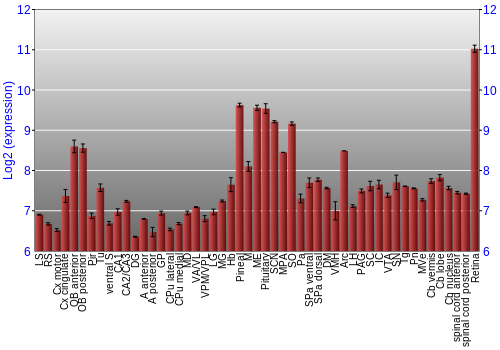 Expression graph