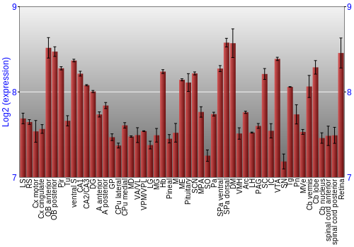 Expression graph