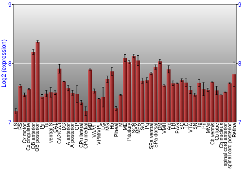 Expression graph
