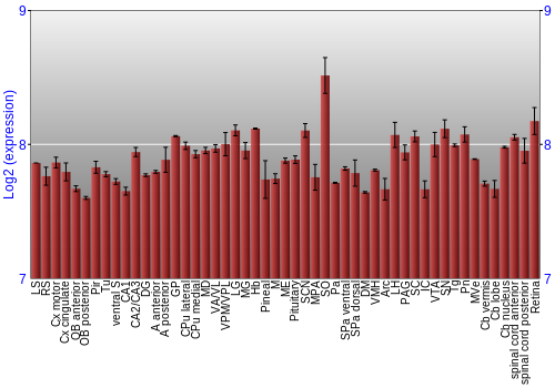 Expression graph