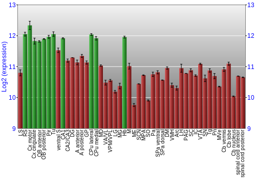 Multi-state expression graph