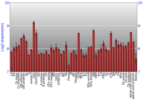 Expression graph