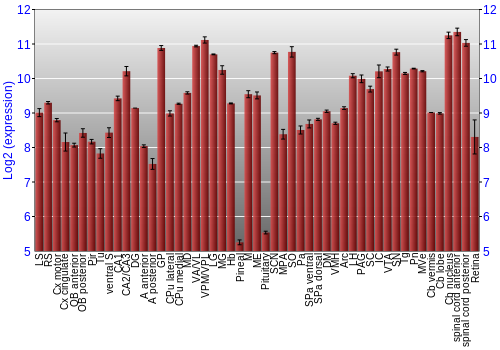 Expression graph