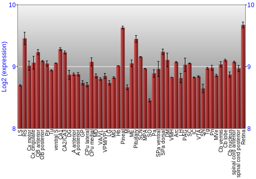 Expression graph