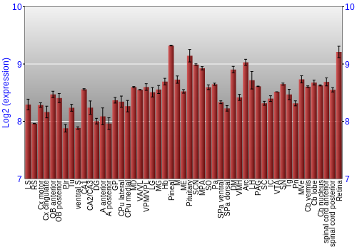 Expression graph