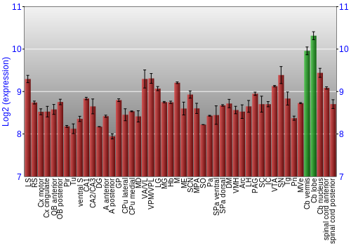 Multi-state expression graph