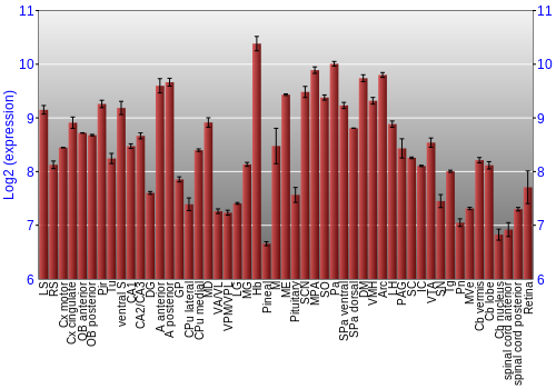 Expression graph