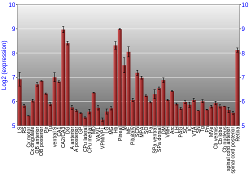 Expression graph