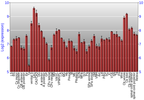 Expression graph