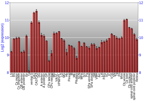 Expression graph