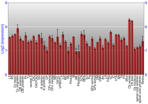 Expression graph