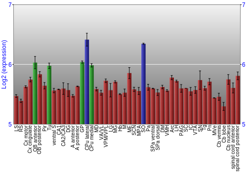 Multi-state expression graph