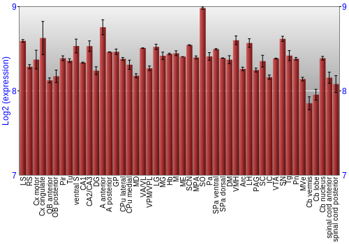 Multi-state expression graph