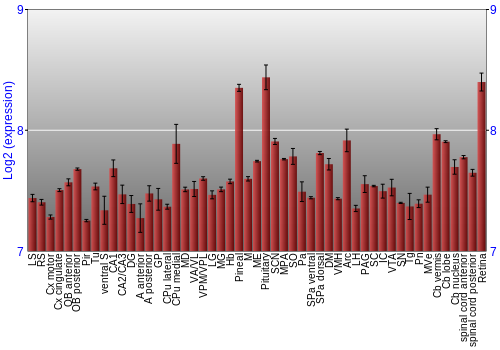 Expression graph