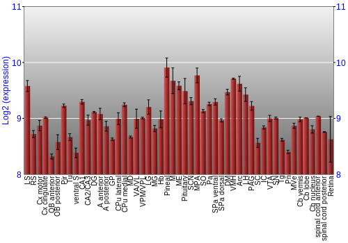 Expression graph