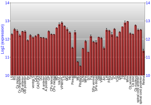 Expression graph