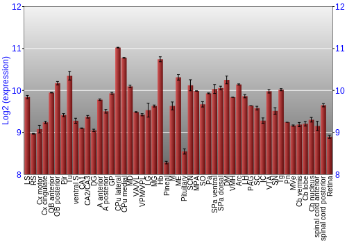Expression graph