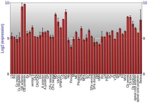 Expression graph