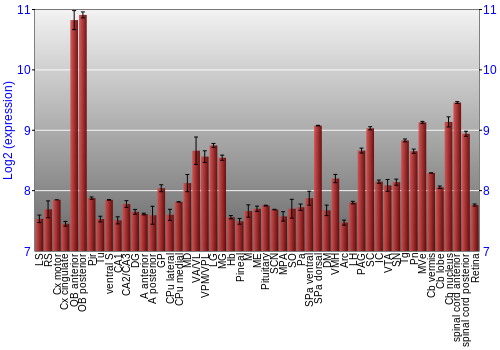 Expression graph