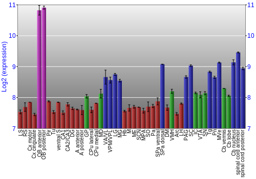 Multi-state expression graph