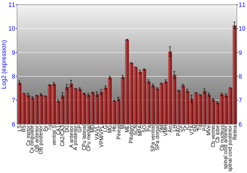 Expression graph