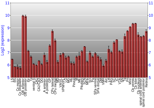 Expression graph