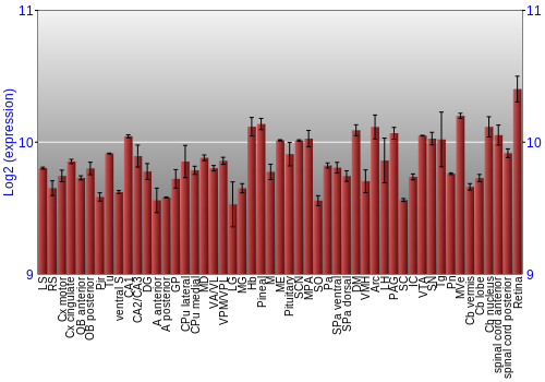 Expression graph