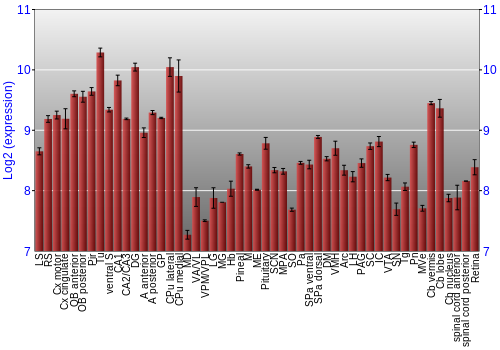 Expression graph