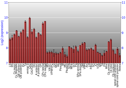 Expression graph