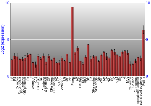 Expression graph