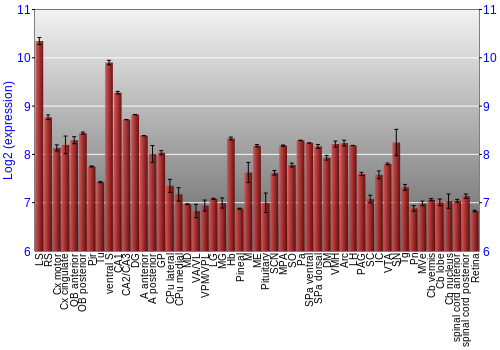 Expression graph