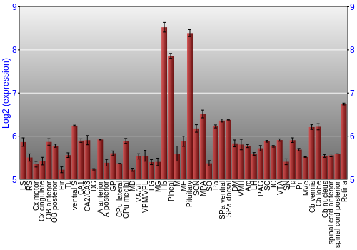 Expression graph