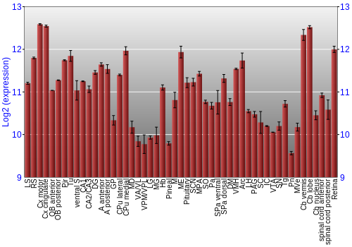 Expression graph
