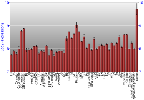 Expression graph