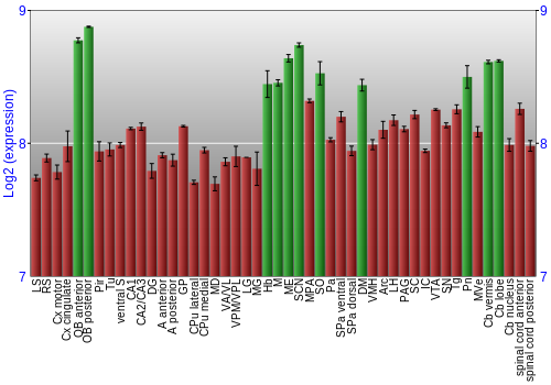 Multi-state expression graph