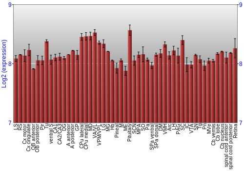 Expression graph