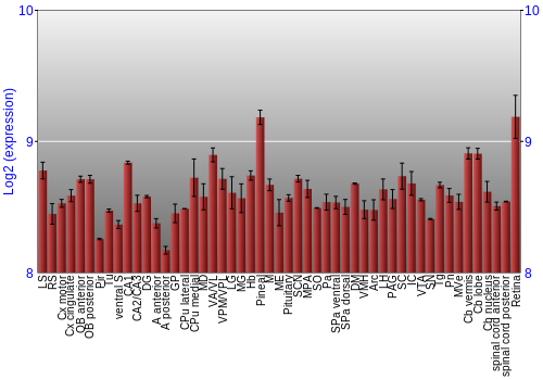 Expression graph
