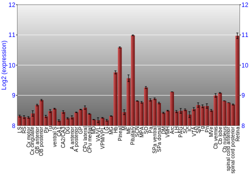 Expression graph